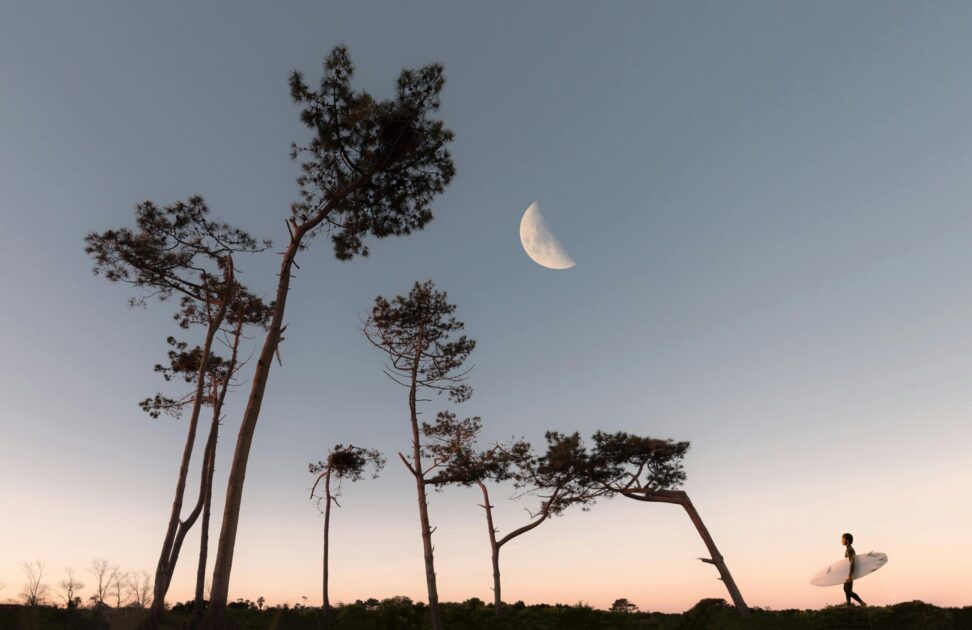A lone surfer walks under a twilight sky with a half moon, framed by tall trees.
